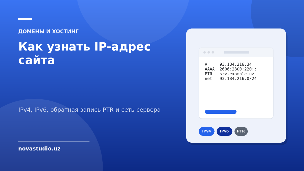 Как узнать IP-адрес сайта — IPv4, IPv6, обратная запись PTR и сеть сервера